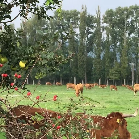 Slate Terrace Comfortable * Rieden (Mayen-Koblenz)