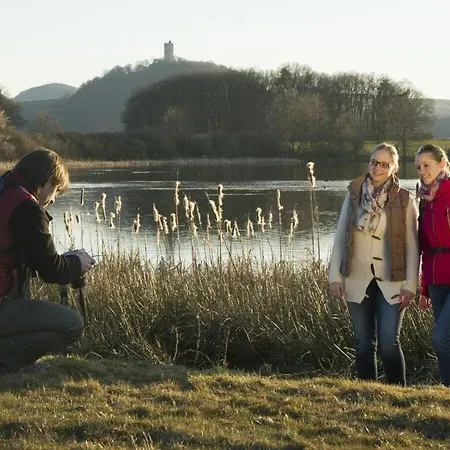 Slate Terrace Comfortable Ferienhaus *